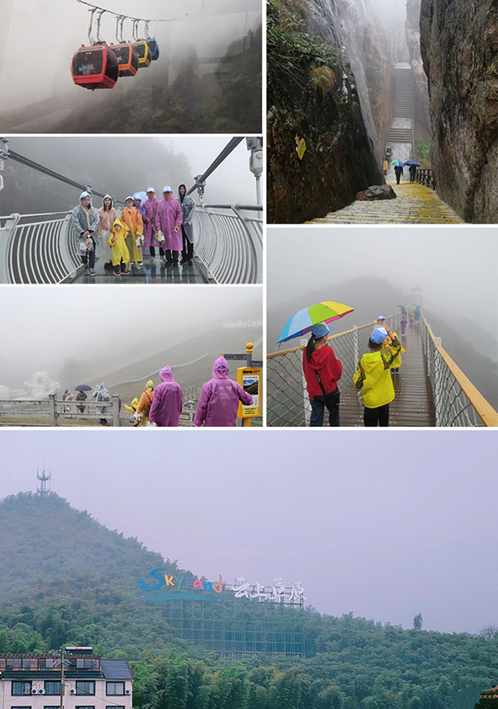 1572251729906281.jpg 未標題-1.jpg