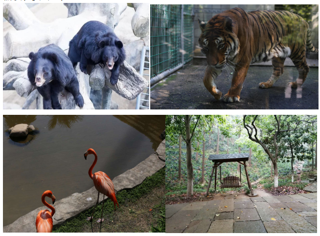 1589446054553269.png 2.png