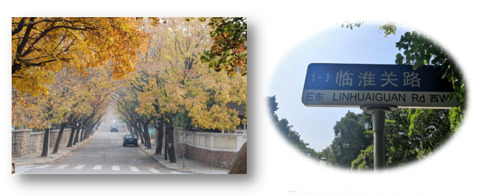 1595924390839013.png 2.png