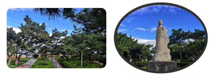 1595924512471307.png 3.png