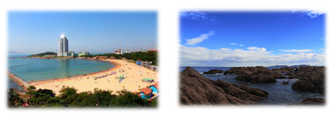 1595924544960056.png 4.png