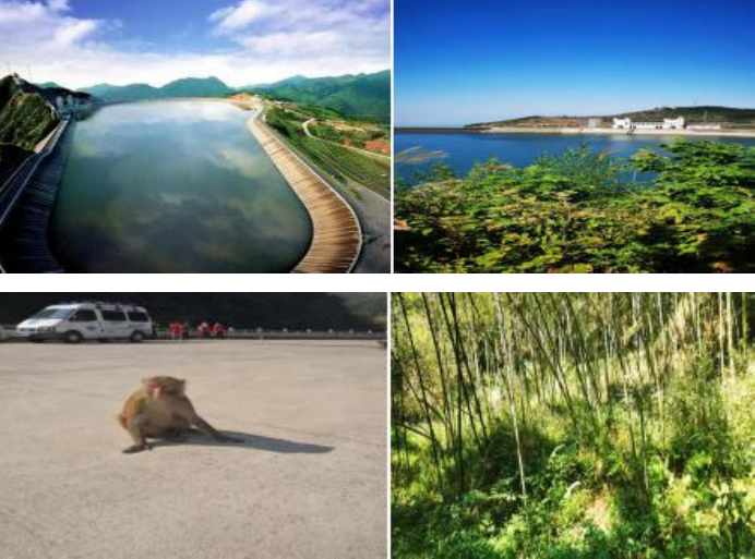 1608189507488928.png image.png